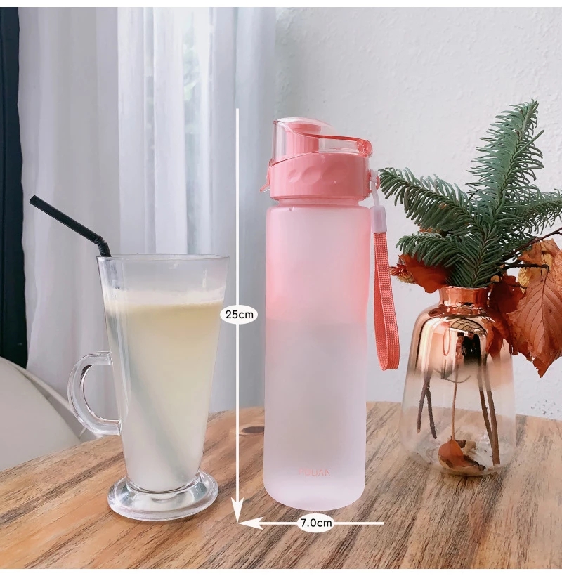 Sports Water Bottles Colorful  - Sports Equipment Logos ulasan dan harga